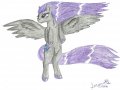 DarkViolet0001.jpg
